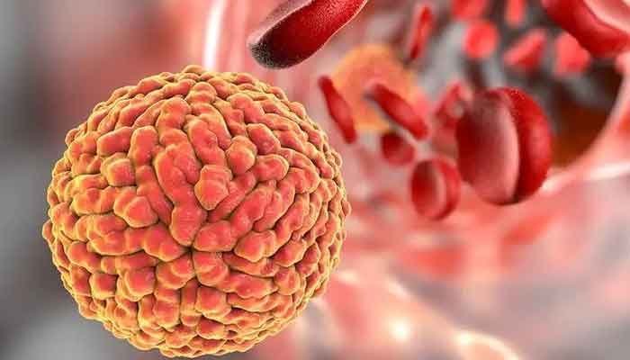 കോഴിക്കോട്: സിക വൈറസ് ബാധക്കെതിരെ ജാഗ്രത പാലിക്കണം