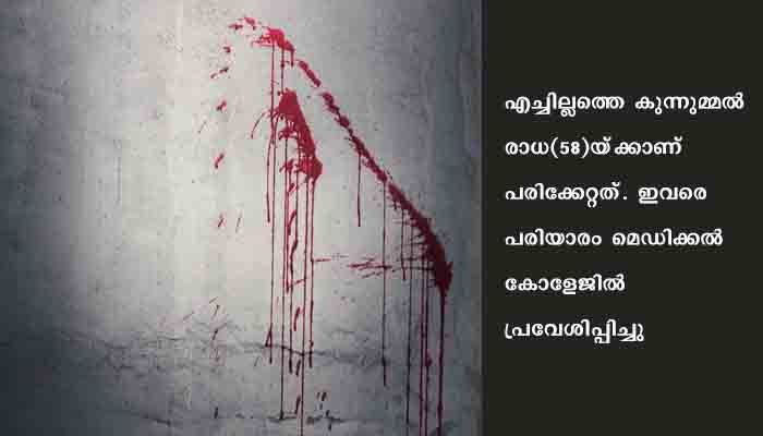 വീട്ടമ്മ വെട്ടേറ്റ നിലയില്‍