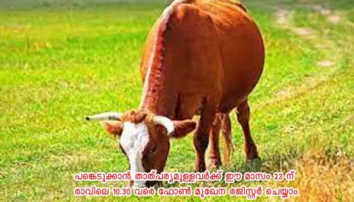 പത്തനംതിട്ട: പശുക്കളിലെ കൃത്രിമ ബീജദാനവും ഗര്‍ഭകാല പരിരക്ഷയും