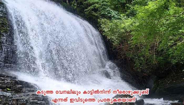 തൃശ്ശൂർ: സഞ്ചാരികൾക്ക് വിരുന്നൊരുക്കി  നിറഞ്ഞൊഴുകി ചാത്തൻ ചിറ