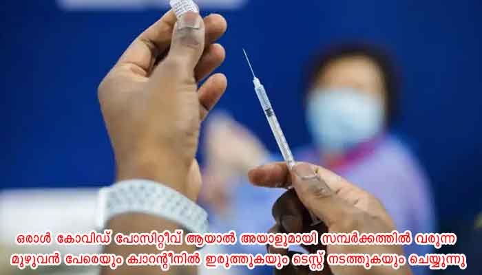 എറണാകുളം: കോവിഡ് പ്രതിരോധത്തിലെ A+ പഞ്ചായത്തുകൾ