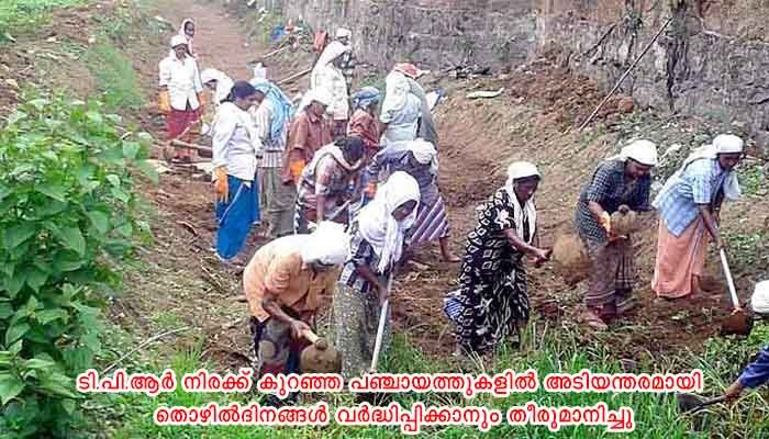 കൊല്ലം: തൊഴിലുറപ്പ് പദ്ധതിയും ഓണ്‍ലൈന്‍ പഠനവും സുശക്തമാക്കാന്‍ ‘ദിശ’