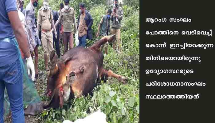 കാട്ടുപോത്തിനെ വേട്ടയാടിയ കേസില്‍ ഒരാള്‍ പിടിയിലായി