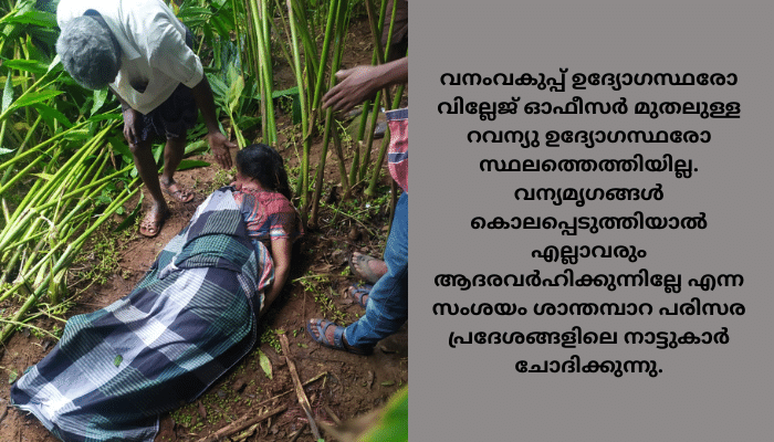 തമിഴ്നാട്ടുകാരിയെ കാട്ടാന കൊന്നാൽ വേറെ നീതിയോ?