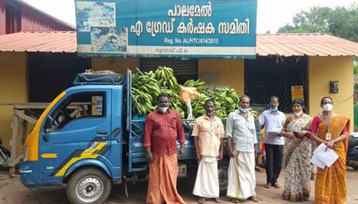 ആലപ്പുഴ: ഓണസദ്യയൊരുക്കാൻ പാലമേൽ നൽകും ടൺ കണക്കിന് പച്ചക്കറി