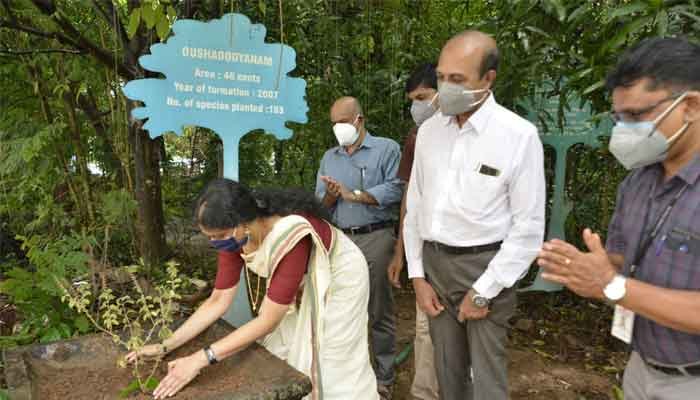 തൃശ്ശൂർ: കലക്ട്രേറ്റിലെ ഔഷധ ഉദ്യാനത്തിന് ഇനി ഔഷധ വേലിയും