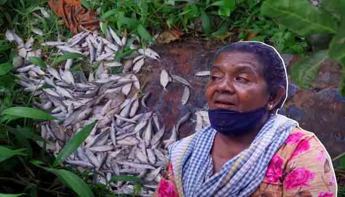 മത്സ്യക്കച്ചവടം നടത്തുന്ന സ്ത്രീകൾക്ക് സംരക്ഷണം നൽകുമെന്ന് മന്ത്രിമാർ ഉറപ്പുനൽകി : സമരം പിൻവലിച്ച് ഫെറോന ആക്ഷൻ കൗൺസിൽ