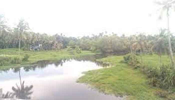 എറണാകുളം: കോണോത്ത് പുഴ നവീകരണം; പുഴയുടെ അതിർത്തി നിർണ്ണയിച്ച് കൈയേറ്റങ്ങൾ ഉടൻ ഒഴിപ്പിക്കും