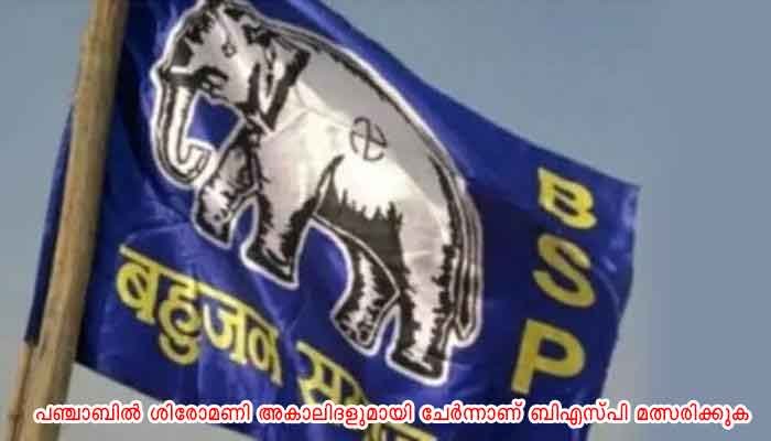 ഉത്തർപ്രദേശിൽ തനിച്ചു മത്സരിക്കുമെന്ന് ബിഎസ്‍പി