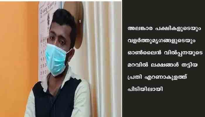 ഓണ്‍ലൈന്‍ വില്‍പ്പനയുടെ മറവില്‍ ലക്ഷങ്ങള്‍ തട്ടിയ പ്രതി പിടിയില്‍