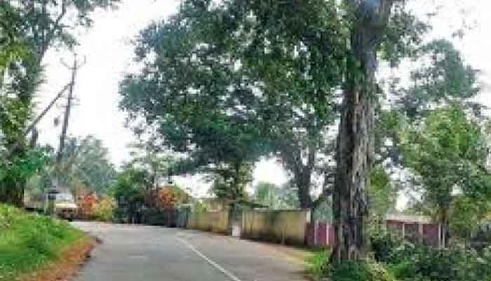 കണ്ണൂർ: ലേലം ചെയ്യും
