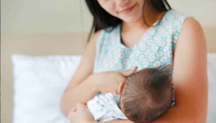 ആലപ്പുഴ: അമ്മ മധുരം അമൃതല്ലോ: വിജയികളെ പ്രഖ്യാപിച്ചു