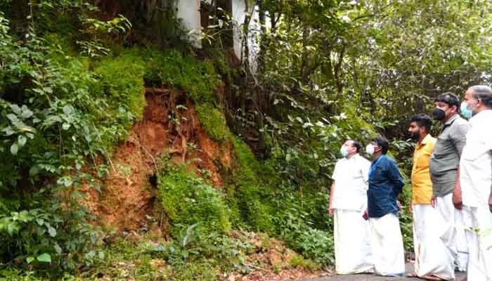 തൃശ്ശൂർ: ഗാന്ധി സ്മാരക റോഡിൽ അപകടഭീഷണിയുള്ള മരങ്ങൾ മുറിച്ചു മാറ്റാൻ നടപടി