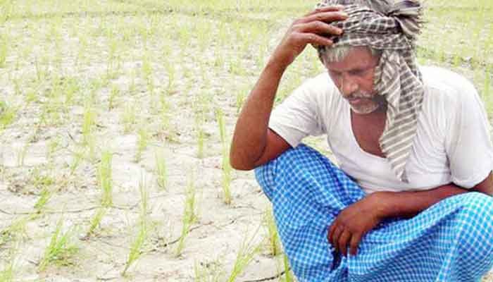 കോഴിക്കോട്: കര്‍ഷക ശാസ്ത്രജ്ഞ മുഖാമുഖം