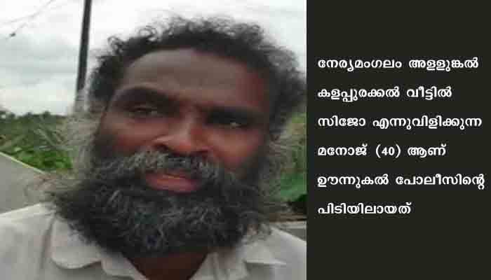പളളികള്‍ക്കുനേരെ ആക്രമണം , പ്രതി പിടിയില്‍