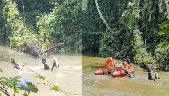 ആറ്റിൽ ചാടിയ യുവാവ് ഒഴുകിയെത്തിയ മരത്തിൽ നിലയുറപ്പിച്ച് ഒന്നരമണിക്കൂർ