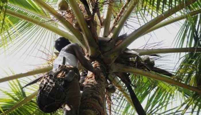 ആലപ്പുഴ: കള്ള് വ്യവസായ തൊഴിലാളി: പെന്‍ഷന്‍ അദാലത്ത് നവംബര്‍ ഒമ്പതിന്