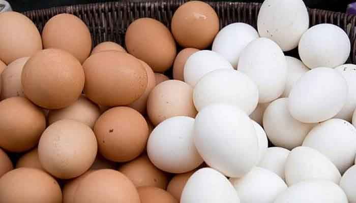 കോട്ടയം: മുട്ട ഉൽപാദനത്തിൽ സ്വയംപര്യാപ്ത കൈവരിക്കാനൊരുങ്ങി തിടനാട് പഞ്ചായത്ത്