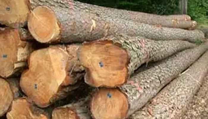 ഇടുക്കി: തടി ലേലം