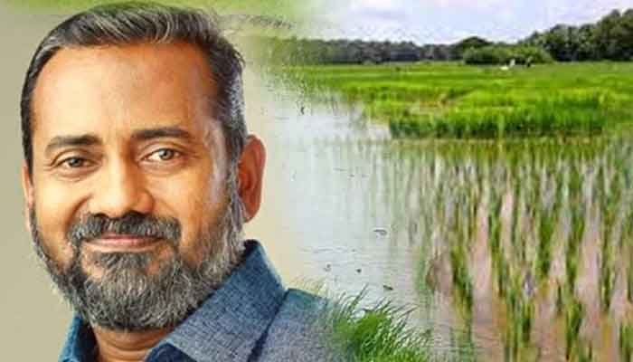 പത്തനംതിട്ട: കൈപ്പട്ടൂര്‍ കൊല്ലായി പാടശേഖരത്ത് ഞാറുനടീല്‍ 10ന് മന്ത്രി പി. പ്രസാദ് ഉദ്ഘാടനം നിര്‍വഹിക്കും