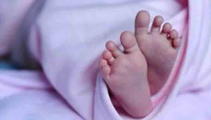 അട്ടപ്പാടിയിലെ ശിശുമരണം: സർക്കാർ കണക്കിൽ പൊരുത്തക്കേടുകളെന്ന് റിപ്പോർട്ട്