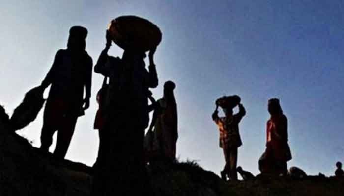 തൃശ്ശൂർ: തൊഴിലുറപ്പ് പദ്ധതിയിൽ ഒന്നാം സ്ഥാനം നേടി ഒല്ലൂക്കര ബ്ലോക്ക്
