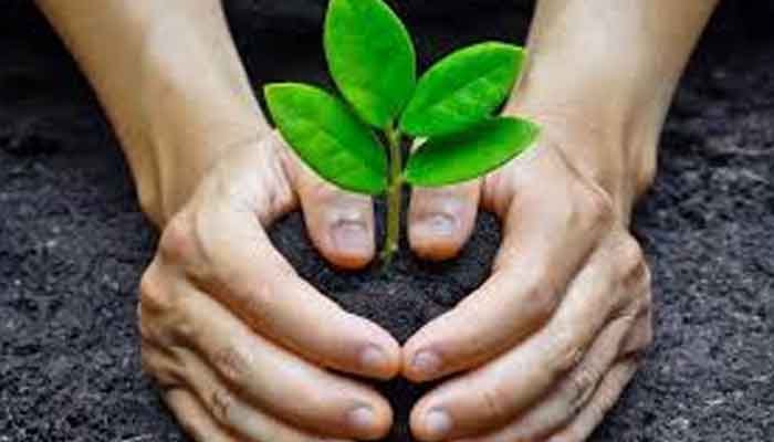കാര്‍ഷിക ജൈവവൈവിധ്യ സംരക്ഷണ പദ്ധതി- വിത്തുത്സവം 13 ന്