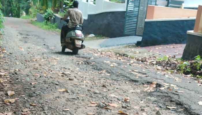 അത്തിക്കയം-കടുമീന്‍ചിറ റോഡ് ഉദ്ഘാടനം 29ന്