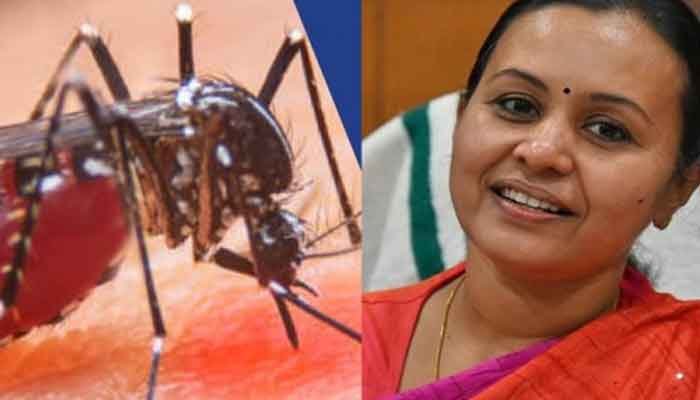 ഡെങ്കിപ്പനി: ഉറവിട നശീകരണം പ്രധാനം