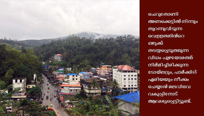 ചെറുതോണി പുഴയിലെ അനധികൃത നിര്‍മാണങ്ങള്‍ക്കും കയ്യേറ്റങ്ങള്‍ക്കുമെതിരെ ദേശീയ ഹരിത ട്രിബ്യൂണല്‍ .