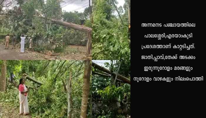 തൃശ്ശൂർ അന്നമനടയിൽ ഉണ്ടായ ചുഴലിക്കാറ്റിൽ കനത്ത നാശം ; ഇരുന്നൂറോളം മരങ്ങൾ നിലംപൊത്തി, ആറ് വീടുകൾക്ക് കേടുപാട്