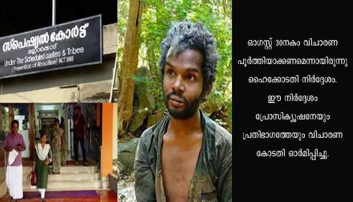 അട്ടപ്പാടി മധു കേസ്; വിചാരണ വേഗത്തിൽ ആക്കുമെന്ന് കോടതി, ഒരു സാക്ഷി കൂടി കൂറുമാറി
