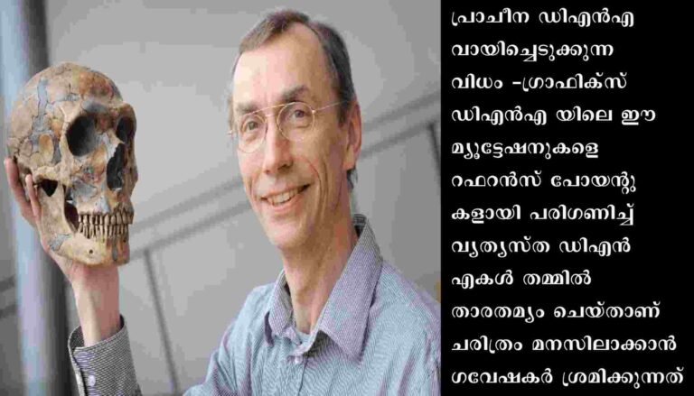 ഡിഎൻഎയിൽ നോക്കി മനുഷ്യന്റെ പൂർവികചരിത്രം ചികഞ്ഞെടുക്കുന്ന ‘പ്രാചീന ഡിഎൻഎ വിപ്ലവത്തിന്’ സാക്ഷ്യം വഹിക്കുന്ന തിരക്കിൽ ശാസ്ത്രലോകം