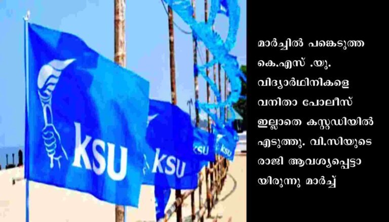 വഴിയാത്രക്കാരി പോലീസായി കെ.എസ് .യു പ്രവര്‍ത്തകരെ കസ്റ്റഡിയിലെടുത്തു