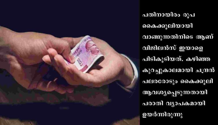 കൈക്കൂലി വാങ്ങുന്നതിനിടെ വില്ലേജ് ഓഫീസിലെ സീനിയര്‍ ക്ലാര്‍ക്ക് പിടിയില്‍