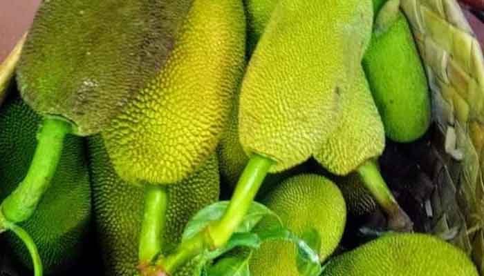 ഇടിച്ചക്കയില്‍ നിന്നുള്ള ഫ്രോസണ്‍ ഉല്‍പന്നങ്ങളുടെ പരിശീലനം