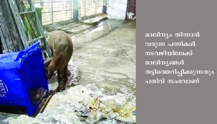 സന്നിധാനത്ത് തിരക്കേറി; വില്ലനായി മാലിന്യം