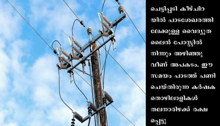 പണിയെടുത്തുകൊണ്ടിരിക്കെ പാടശേഖരത്തില്‍ വൈദ്യുതിലൈന്‍ വീണ് അപകടം