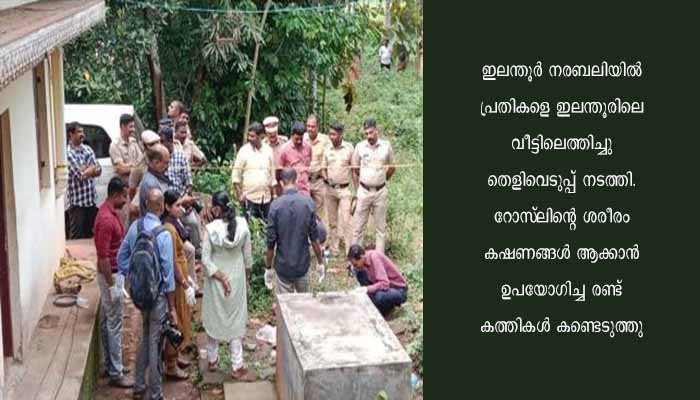 ഇലന്തൂർ നരബലി; ഡിഎൻഎ ഫലം പുറത്ത്