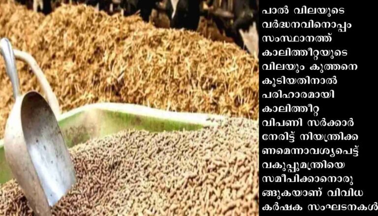 കാലിത്തീറ്റ വിപണി സർക്കാർ നേരിട്ട് നിയന്ത്രിക്കണമെന്ന് കർഷക സംഘടനകൾ