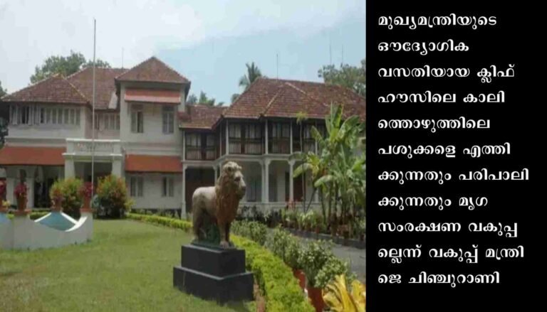 കിഫ്ല് ഹൗസിലെ കാലിത്തൊഴുത്തും കാലികളും; മൃഗസംരക്ഷണ വകുപ്പിന് ബന്ധമില്ലെന്ന് മന്ത്രി ചിഞ്ചുറാണി