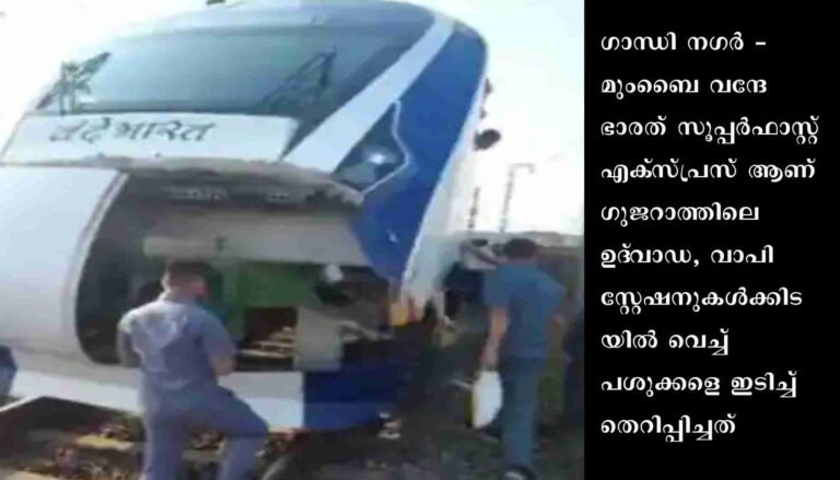 ഗുജറാത്തില്‍ വന്ദേഭാരത് ട്രെയിന്‍ വീണ്ടും പശുവിനെ ഇടിച്ച് തെറിപ്പിച്ചു