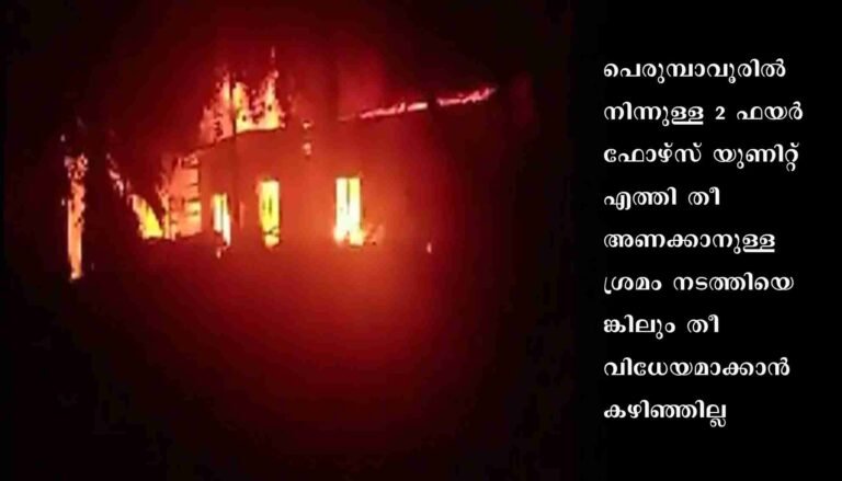 പെരുമ്പാവൂര്‍ പ്ലൈവുഡ് കമ്പനിയിലെ തീപിടുത്തം: കൂടുതല്‍ ഫയര്‍ ഫോഴ്‌സ് യൂണിറ്റുകളെത്തി തീ നിയന്ത്രണ വിധേയമാക്കി
