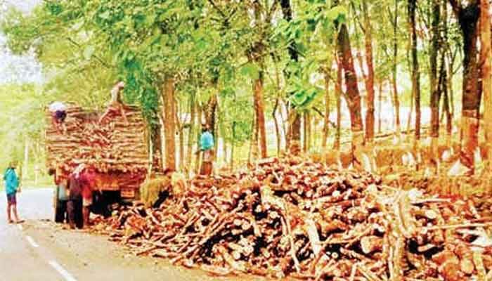 കയ്യേറ്റങ്ങള്‍ ഒഴിപ്പിക്കും