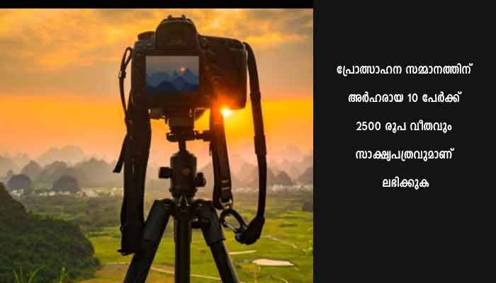 2020 ലെ ഫോട്ടോഗ്രാഫി അവാർഡുകൾ പ്രഖ്യാപിച്ചു