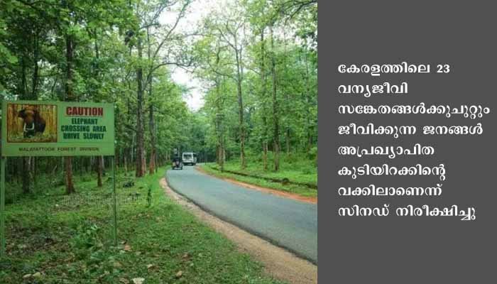 സേഫ് സോണ്‍ ആണ് ആവശ്യം: സിനഡ്