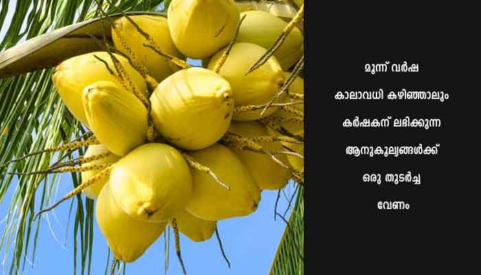 മൂല്യവർദ്ധിത ഉത്പന്നങ്ങളിലൂടെ നാളികേരകർഷകരുടെ വരുമാനം വർദ്ധിപ്പിക്കണം: മന്ത്രി പി.പ്രസാദ്