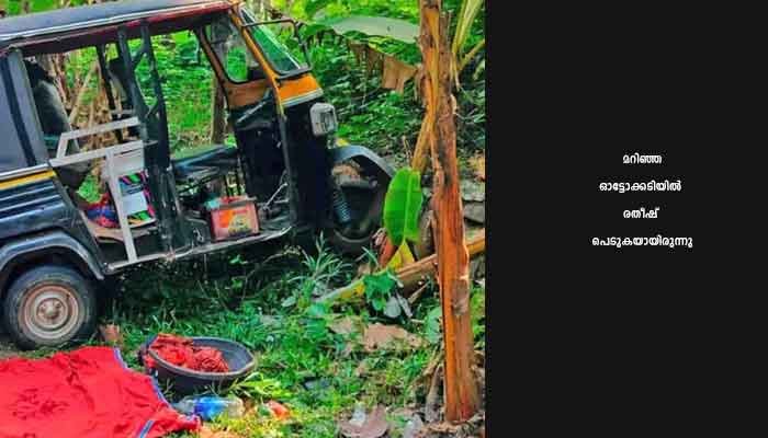 നിയന്ത്രണം വിട്ട ഓട്ടോറിക്ഷ മറിഞ്ഞ് യുവാവ് മരിച്ചു