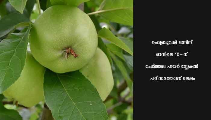 ഫലവൃക്ഷങ്ങളുടെ ആദായ അവകശ ലേലം