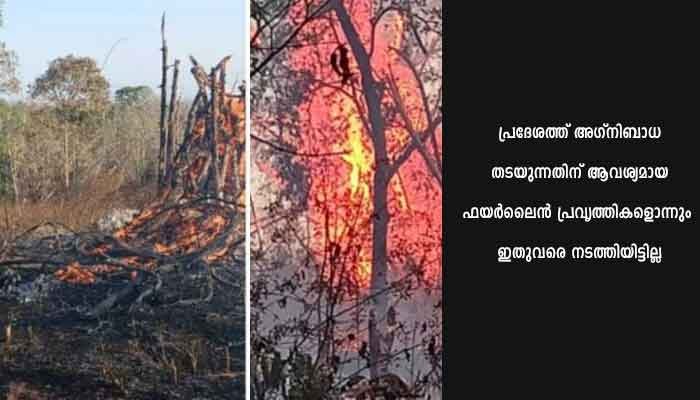 വയനാട് ഓടപ്പള്ളം വനത്തിൽ വൻ അഗ്നിബാധ : തീ അണക്കുന്നതിൽ വനംവകുപ്പ് ഉദ്യോഗസ്ഥരുടെ ഏകോപന മില്ലായ്മ ചർച്ചയിൽ